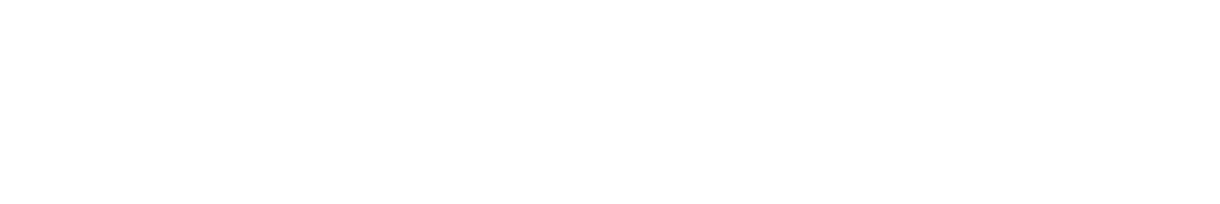 Lightspeed German Learning